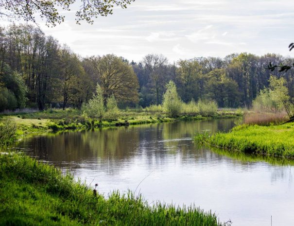 oeverlicht-de-regge-ommen