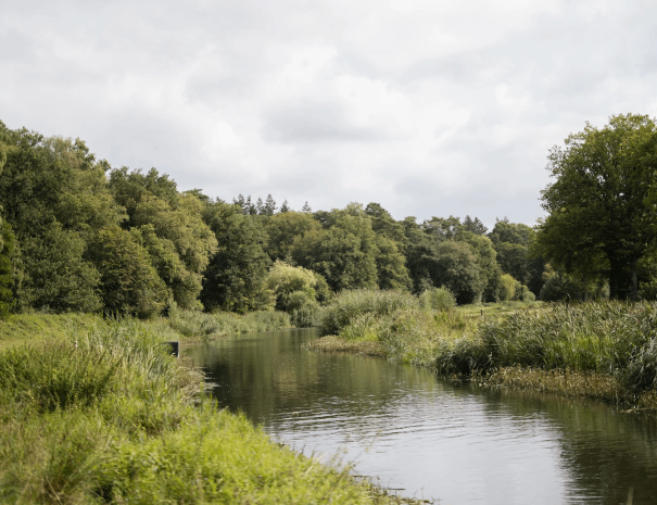 oeverlicht regge rivier